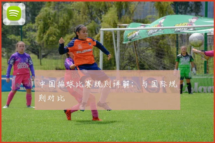 中国排球比赛规则详解:与国际规则对比