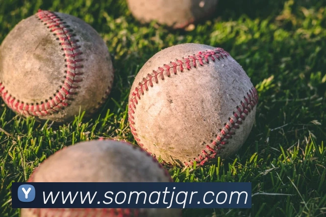 平台展示图